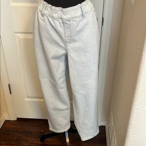 Lane Bryant Light Blue Denim Boyfriend Style Jeans